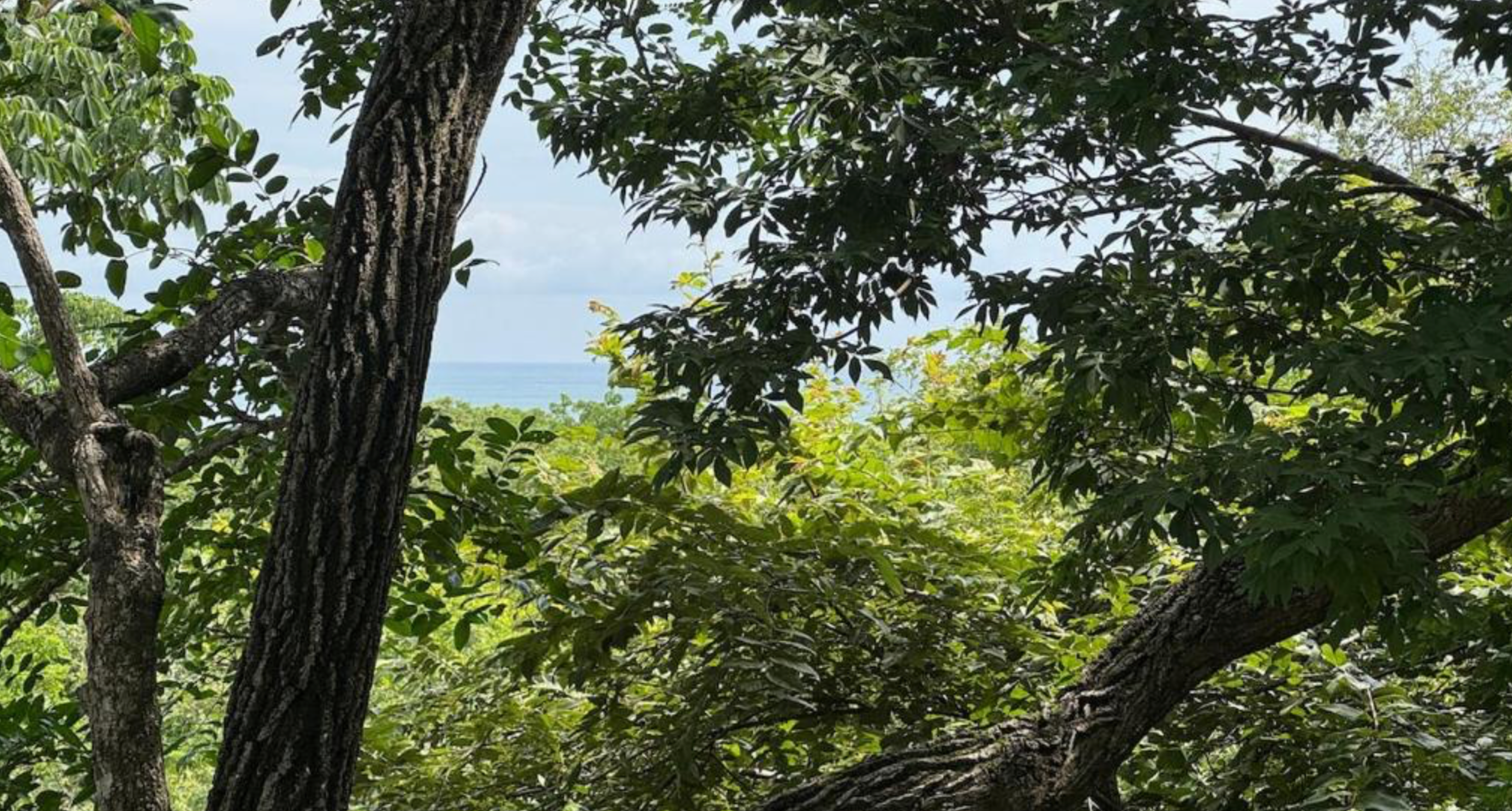 Here & Now Girls Trip — COSTA RICA                                                                                    15 AU 21 JUIN  2026