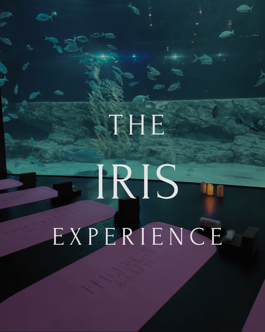 IRIS –  VUE · Wellness Morning · 12 juillet