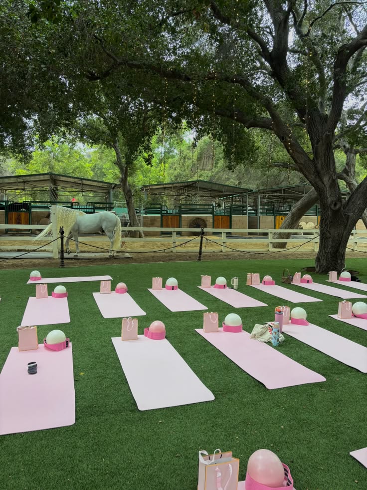 Cow Girl Yoga — Toulouse · 6 Septembre
